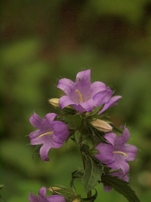 P6111215