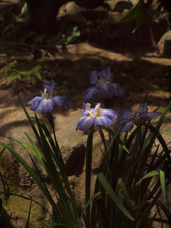 P6121236