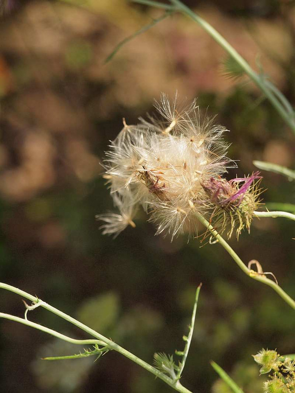 P6121258