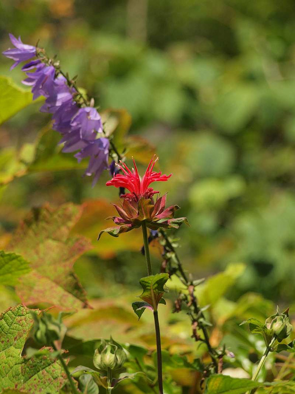 P6121256