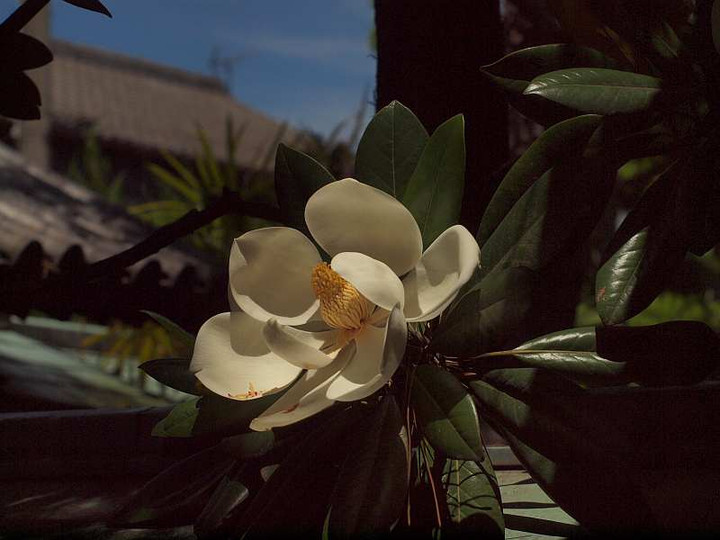 P6131295