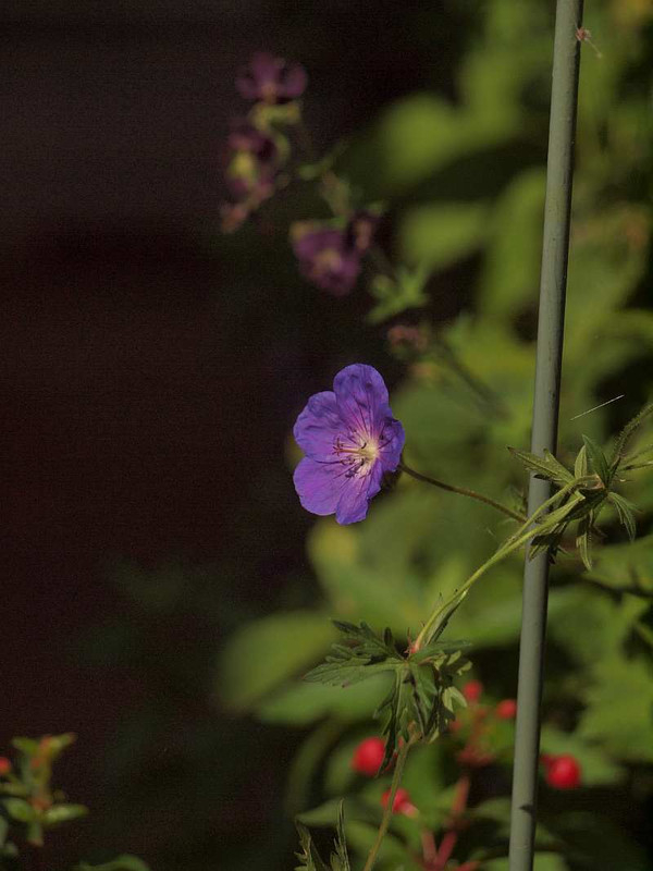 P6141300