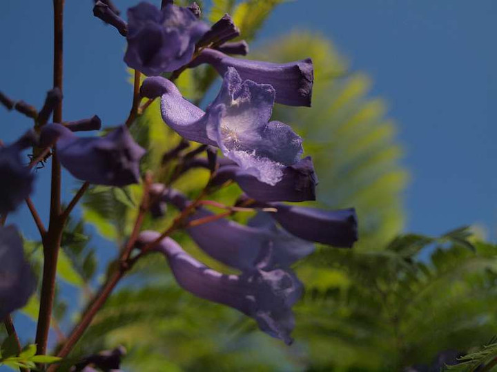 P6151335