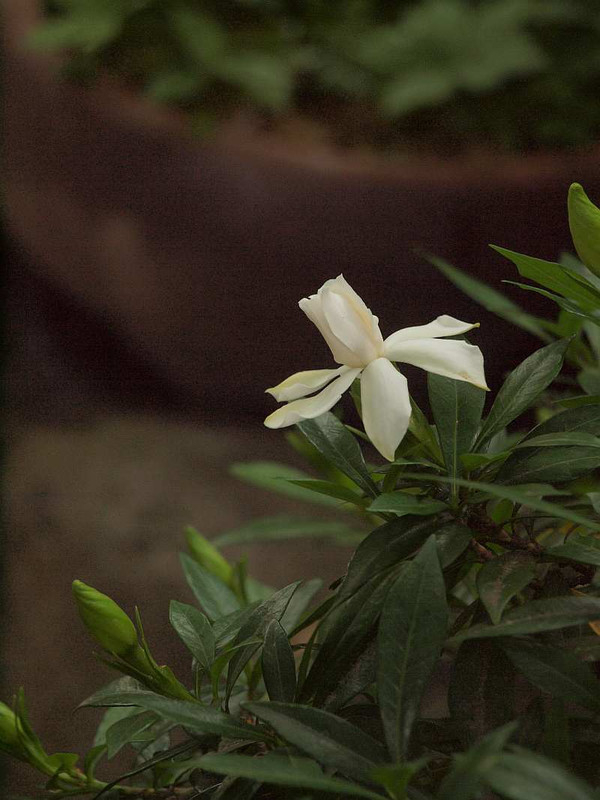 P6181705