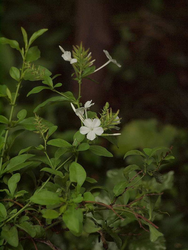 P6181708