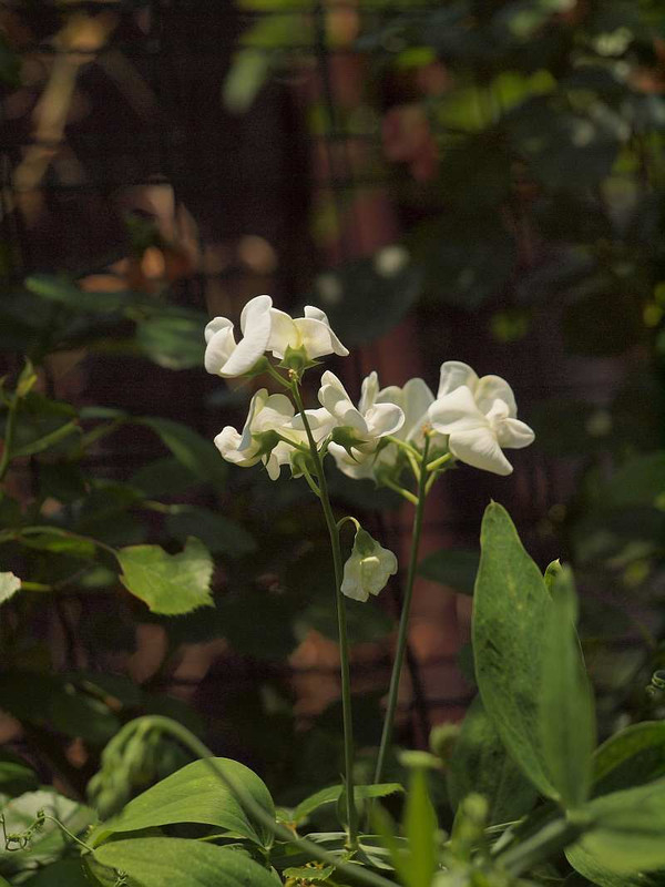 P6191771