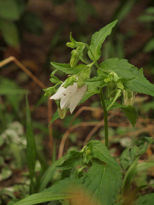 P6201792