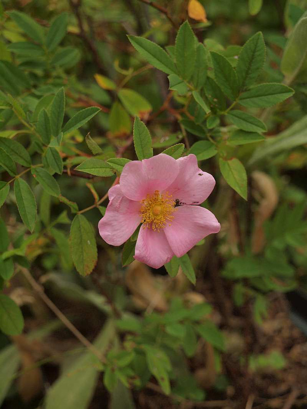 P6221835