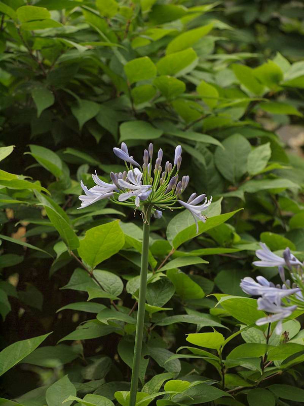 P6221838