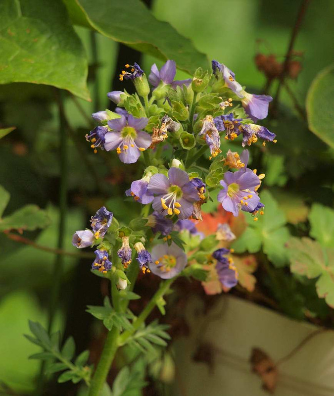 P6241856