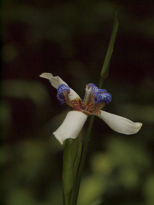 P6292073