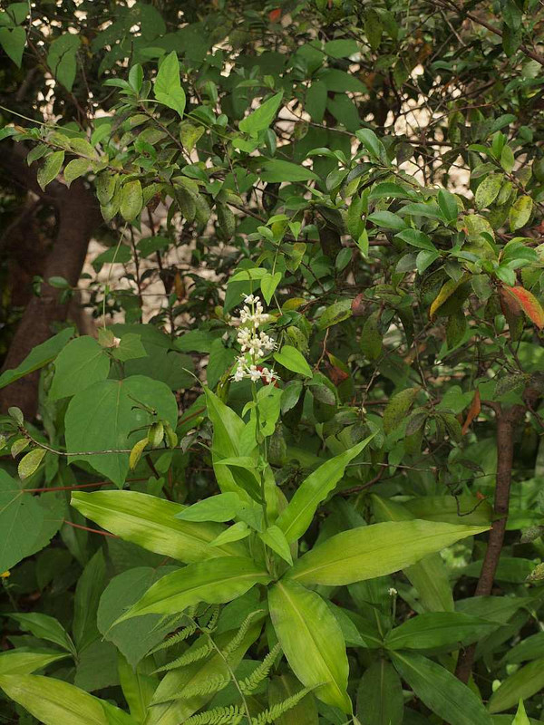 P7022106
