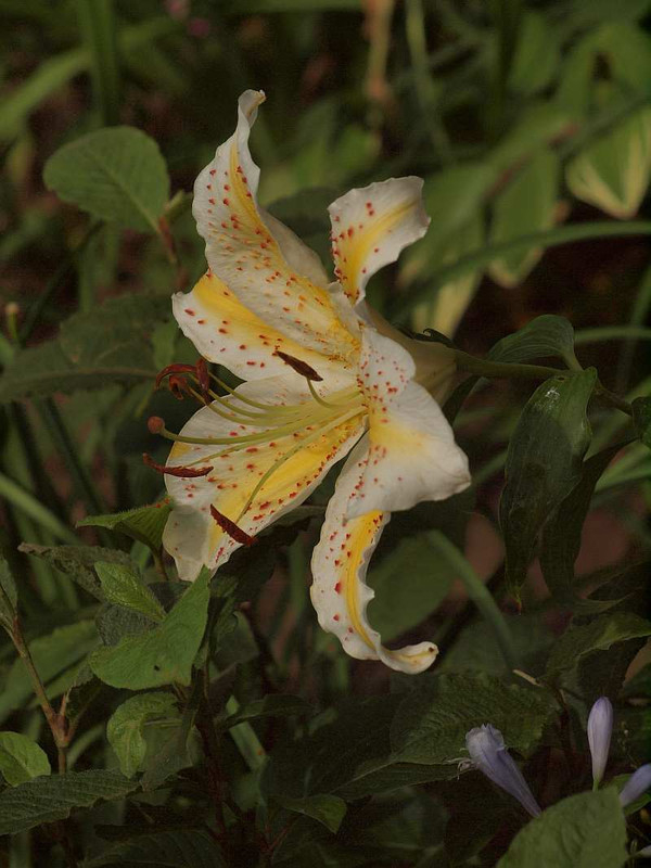 P7042120