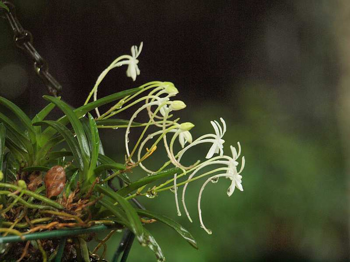 P7052146