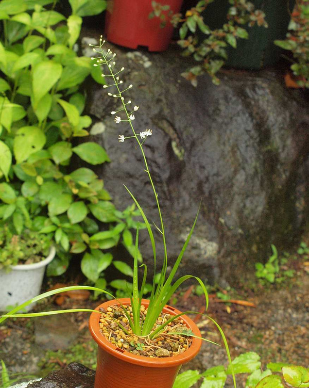 P7052157