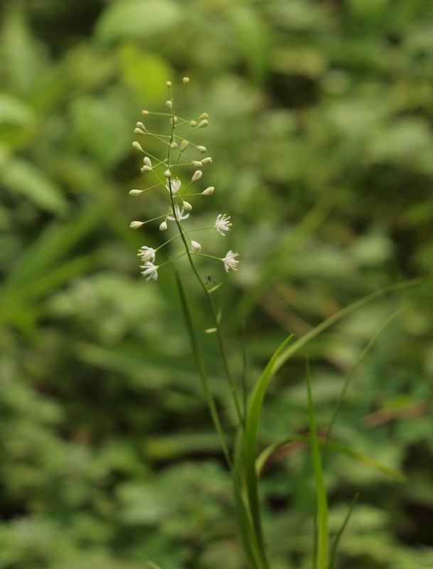 P7052173