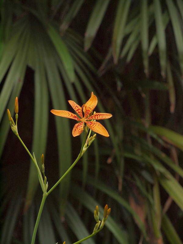 P7072232