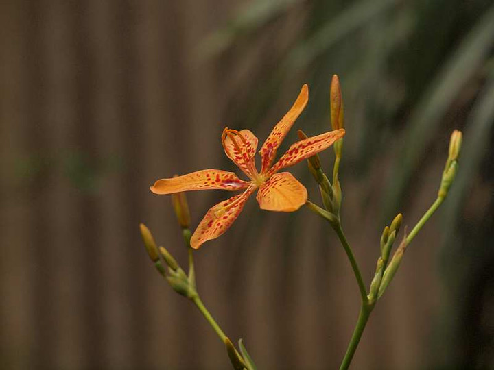 P7072247
