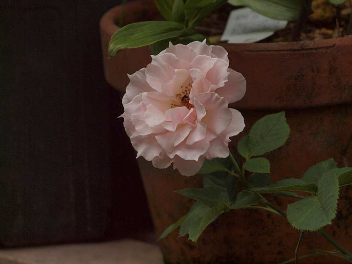 P7092347