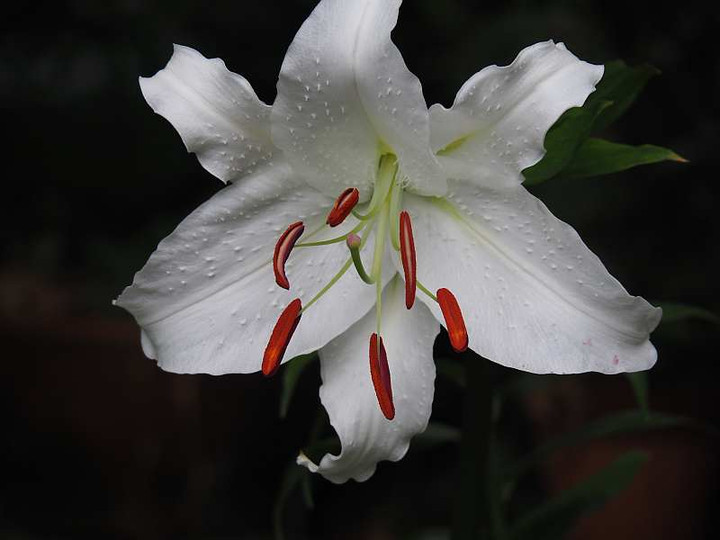 P7120041