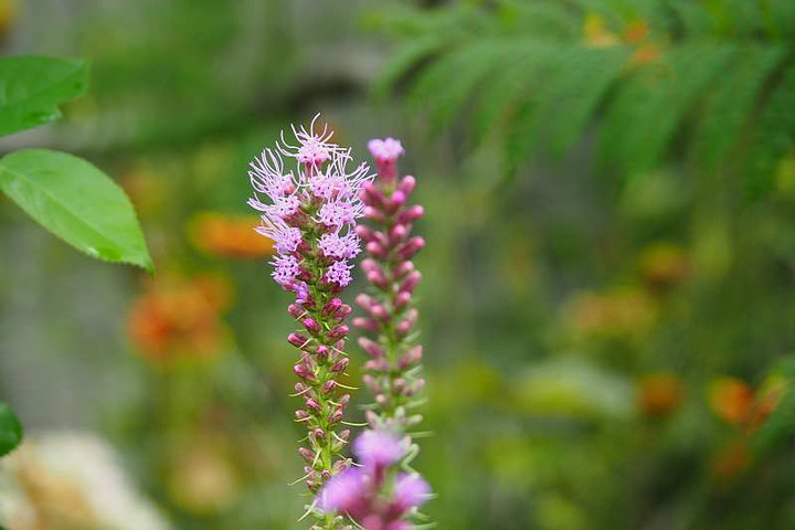 P7120076