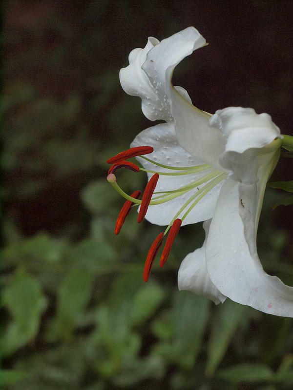 P7122394