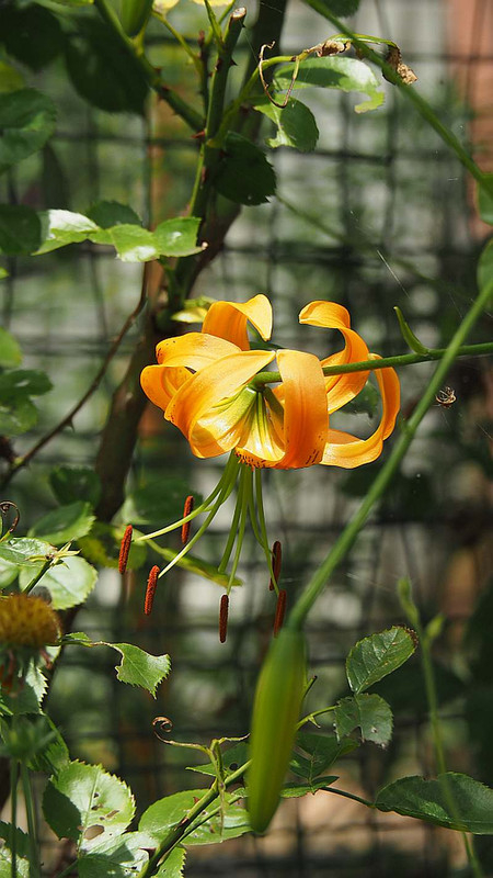 P7160736
