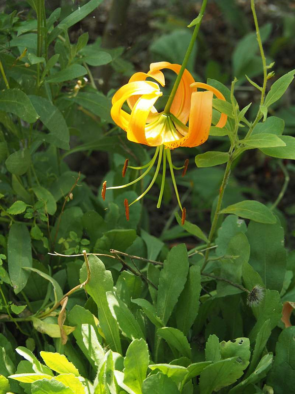 P7210933