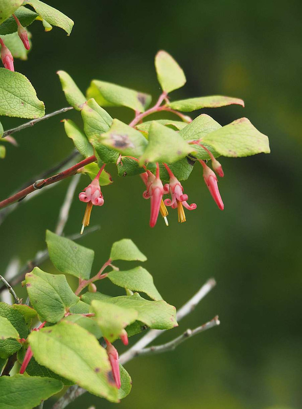 P7221166