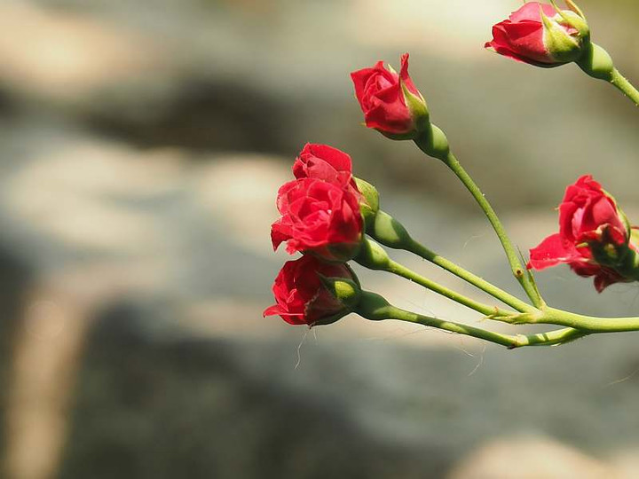 P7251007