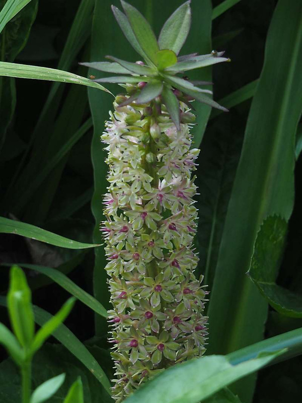 P7261047