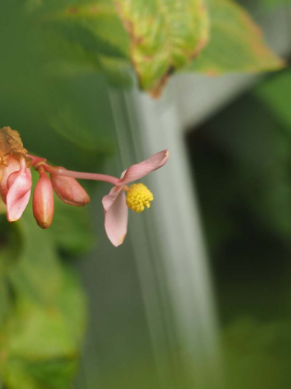 P7281237