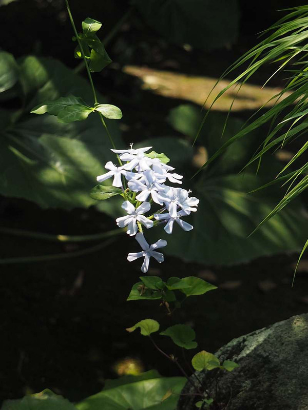 P7301248