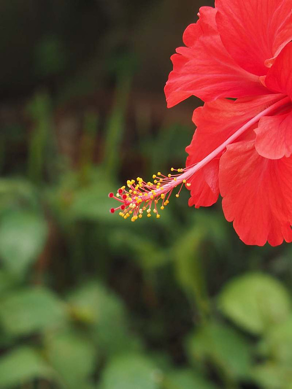P7301256