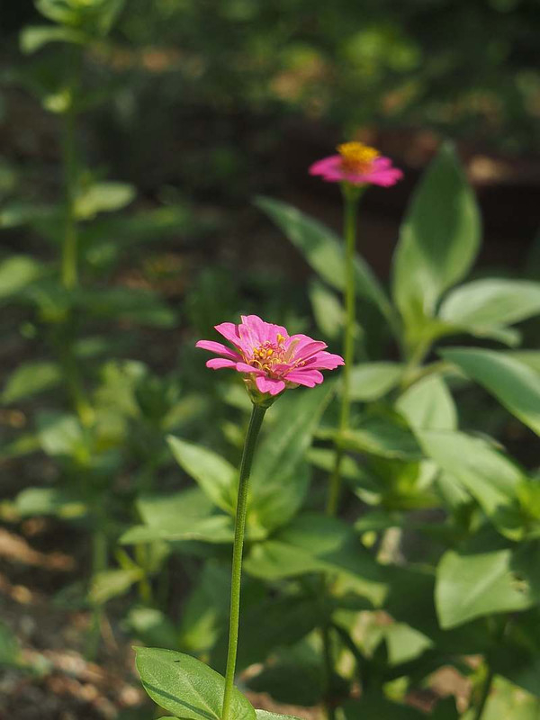 P7301264