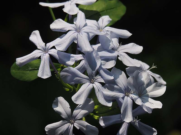P7301281