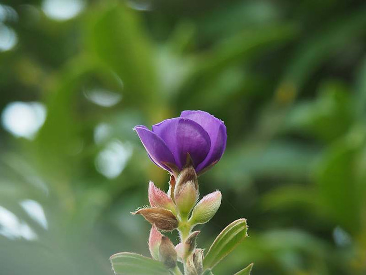 P7311334
