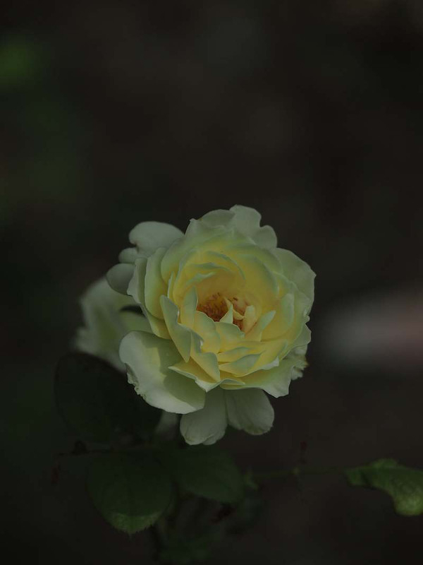 P7311402