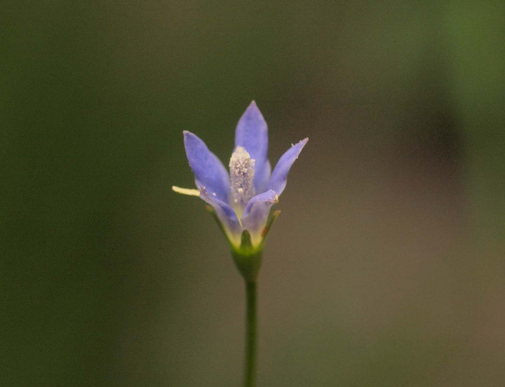 P7312407