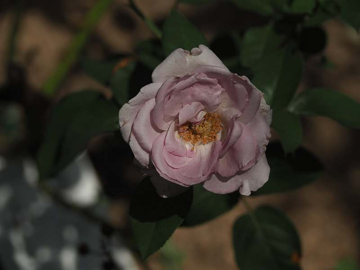 P8041550