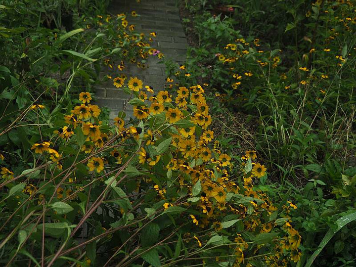 P8071654