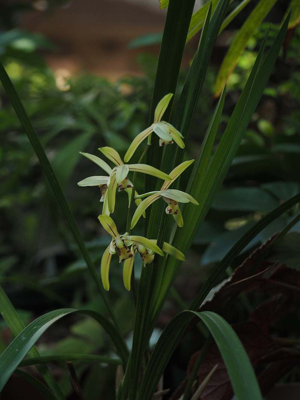 P8121801surugarann