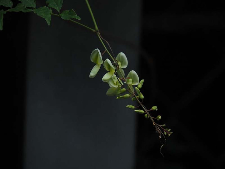 P8131815natuhuji