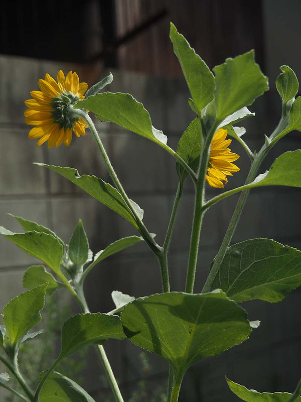 P8141832