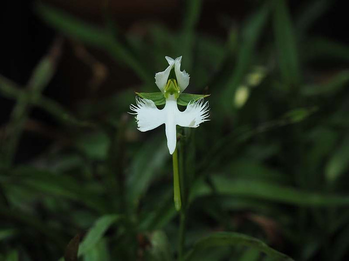 P8202025