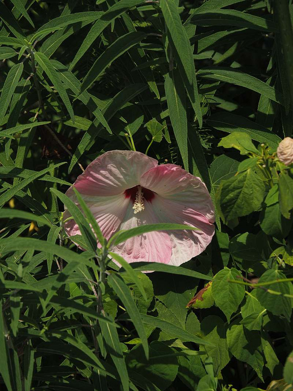 P8202031