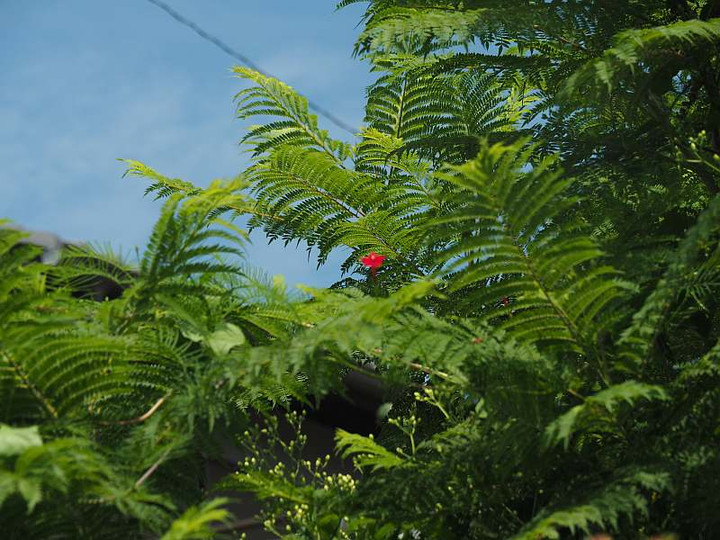 P8222103