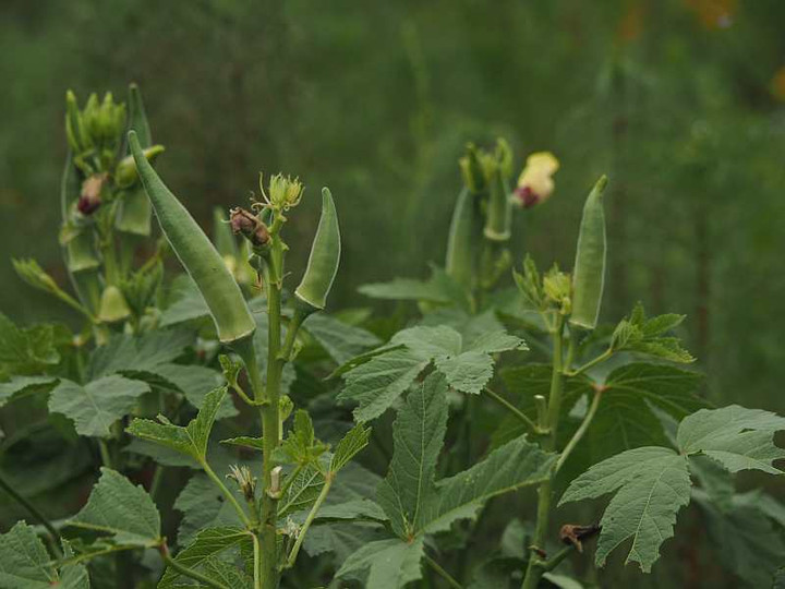P9011190