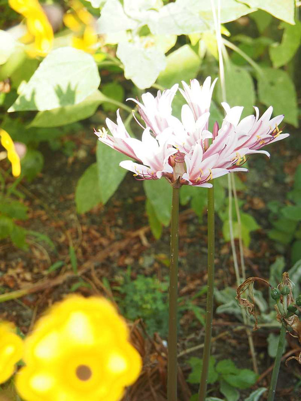 P9021226