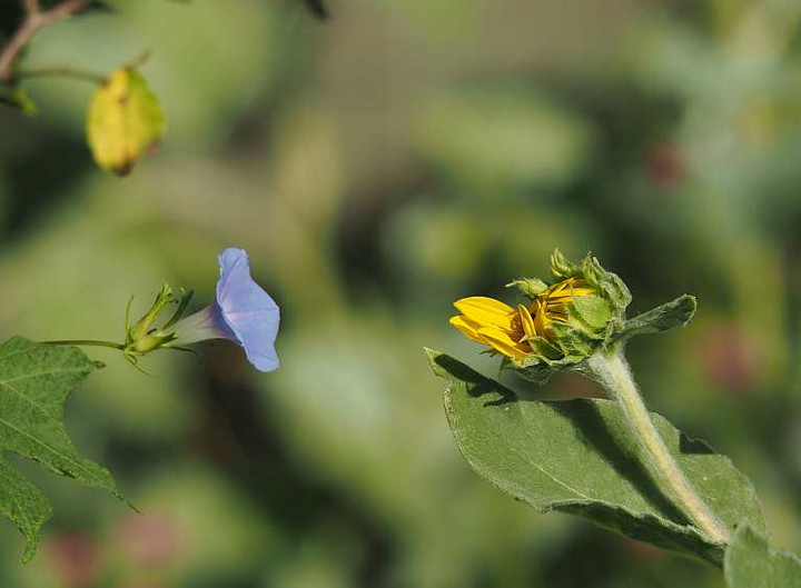 P9021228
